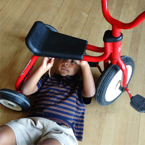 community playthings tricycle