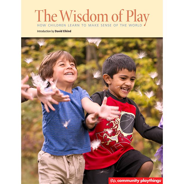 the wisdom of play book cover