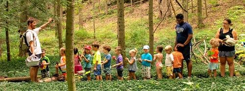children on a walk in the woods