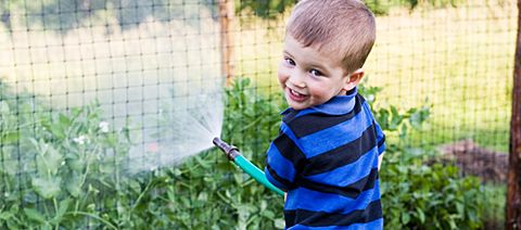 boy watering a garden