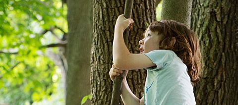 child beside a tree