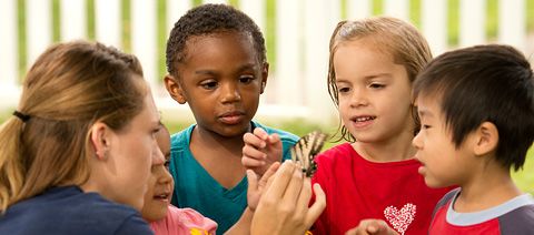 children looking at a butterfly