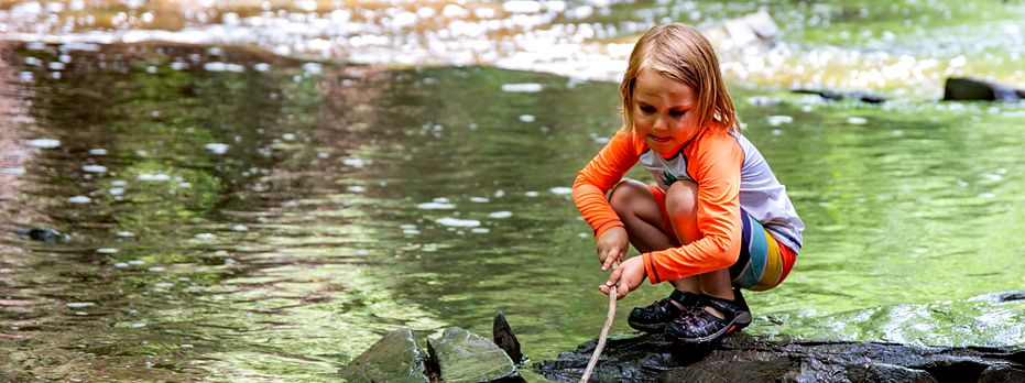 Learning from Nature