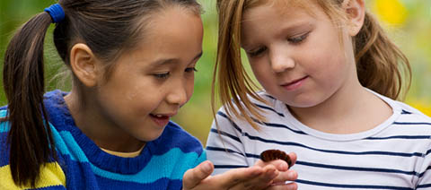 two girls looking at a caterpillar