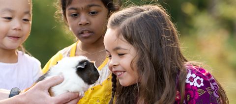 Animals and Children