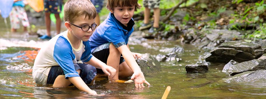Article Banner Academics thru Nature