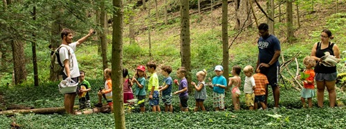 A group of young children and three adults on a nature walk in a forest with lush green ground cover.