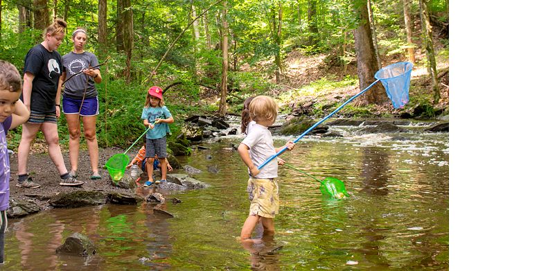 Kindergarten kids playing in stream with supervision
