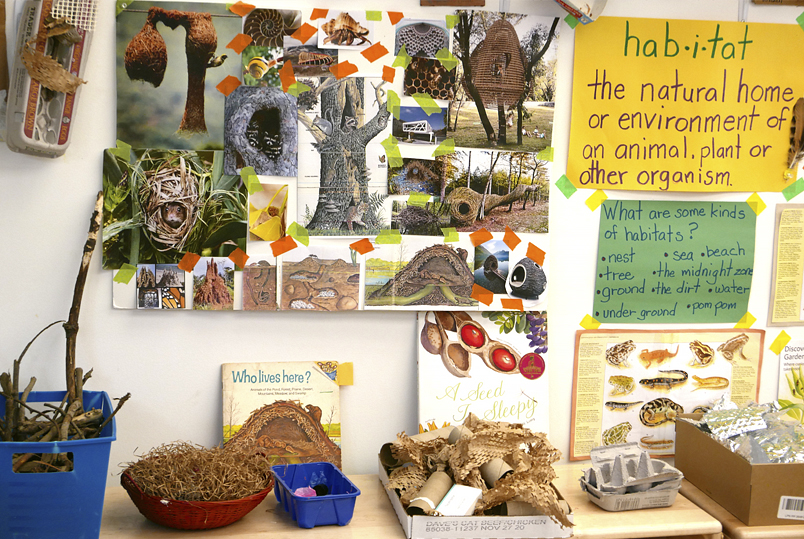 Classroom wall documents project