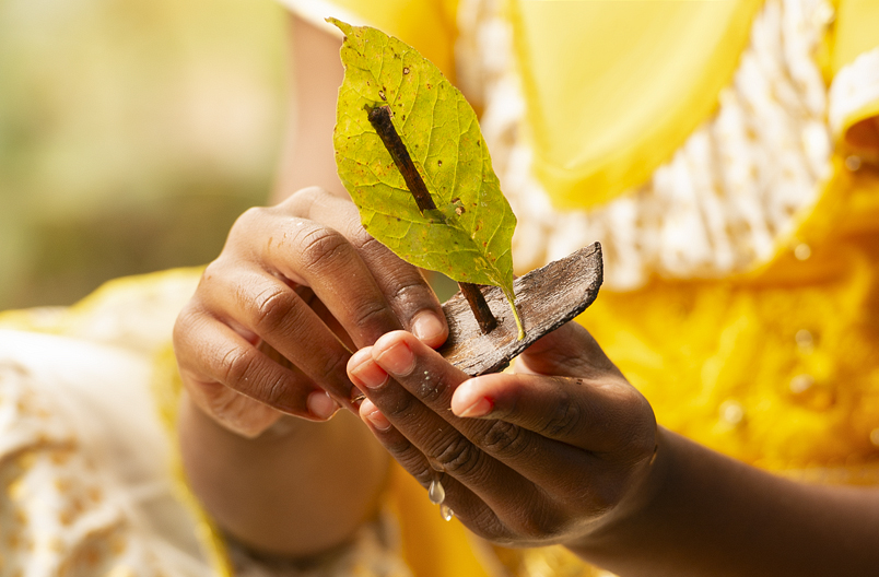 hands holding bark boat