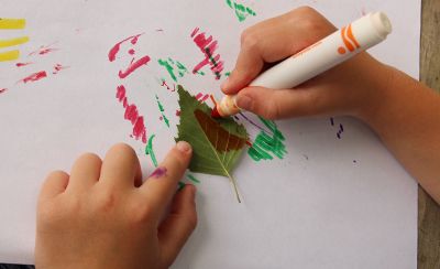 Color leaf
