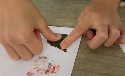 Rub leaf