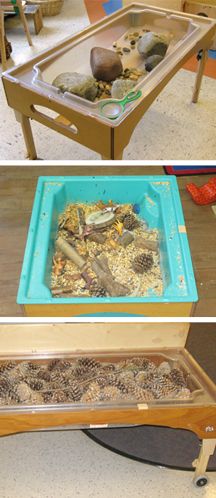 Article Insert_Sensory 3