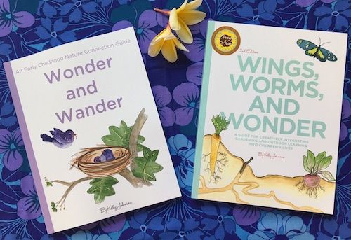 Wings And Wonder 2 books