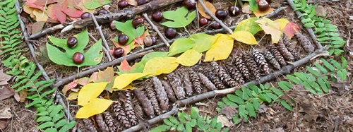 arranged natural objects