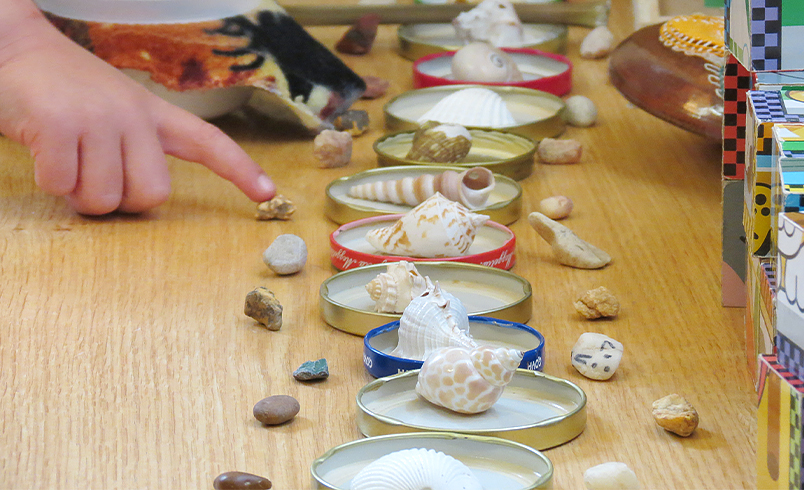 Child sorting sea shells and acorns into small dishes