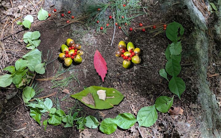face made from collected nature items like leaves, acorns, and flowers