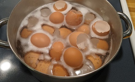 Wash eggshells