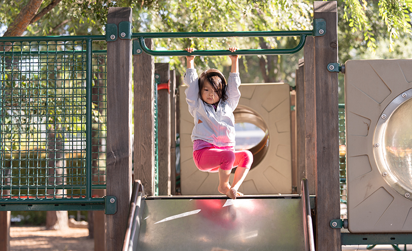 Proprioceptive system.