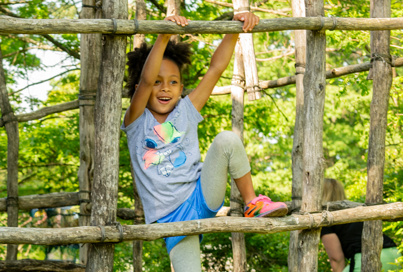 A child swinging from a branch