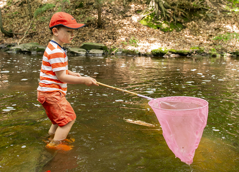 Child fishing with a net