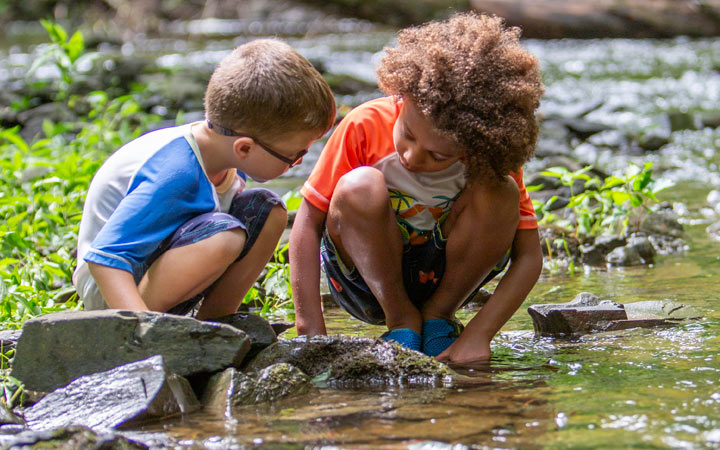 Child fishing with a net