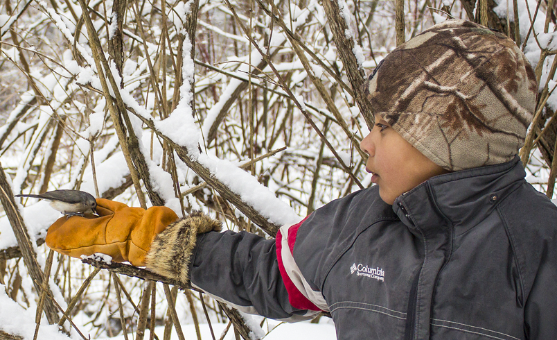 A child feeding birds