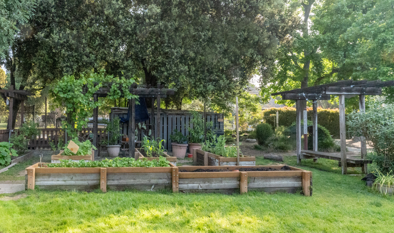Raised bed gardens in a preschool yard