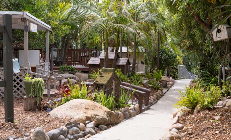 Beautiful Outdoor play space with palm trees, sandbox, and nature discovery area