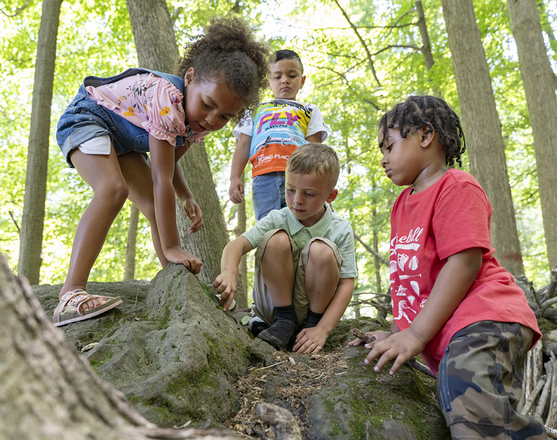 Children playing in the woods with stumps