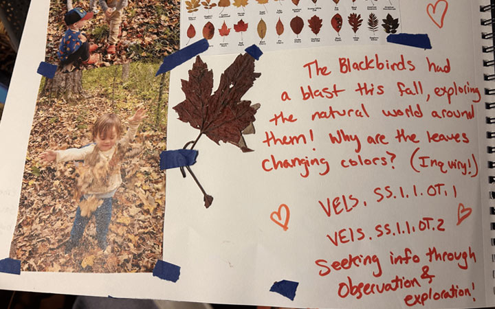 Floorbook - a photo of a child playing in leaves, pressed leaves, and notes from teacher