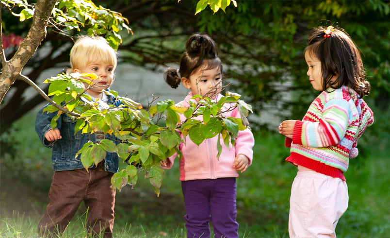 Toddlers looking at apple tree
