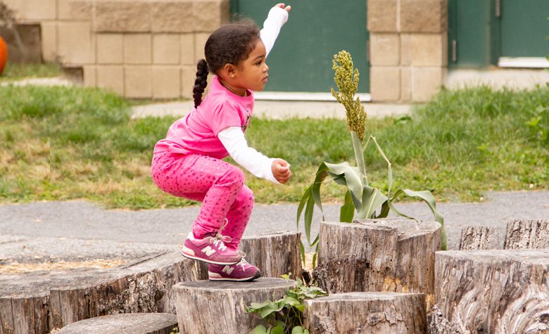 Child balancing on stumps