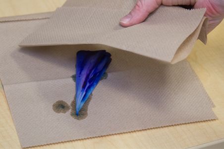 paper towels