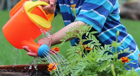 child watering a flower