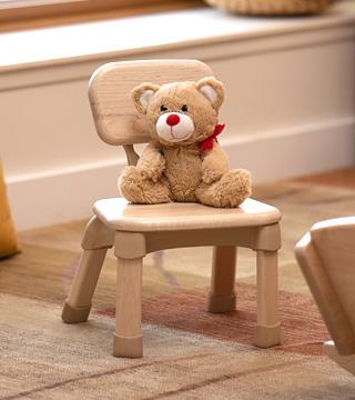 Teddy Bear on Classroom Chair