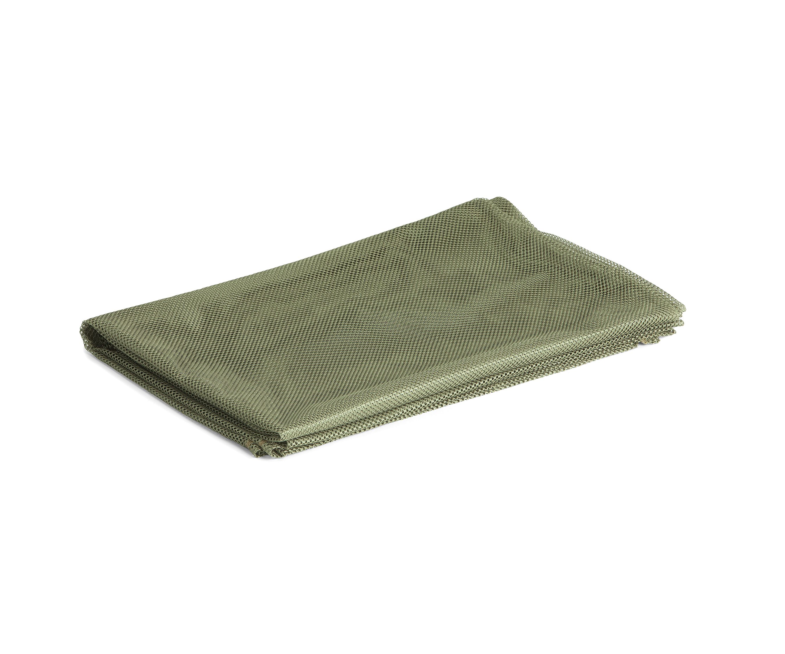 C707 Flowie Fern