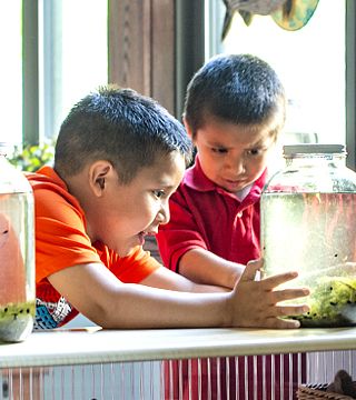 Two boys looking at frogspawn in a large glass jar