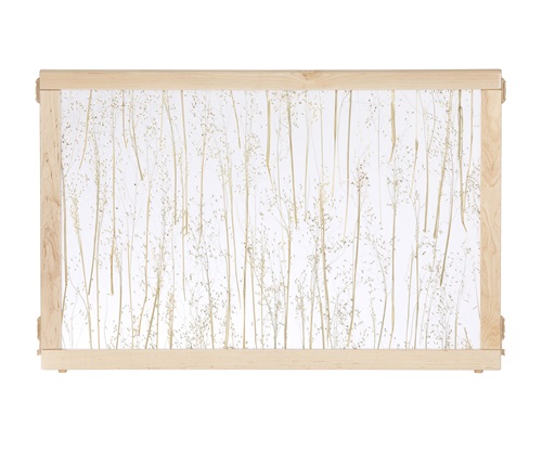 F901 Rice Grass Panel 36 x 24