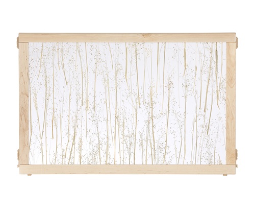 F901 Rice Grass Panel 36 x 24