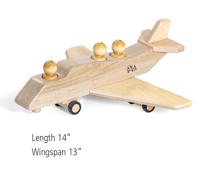 Dimensions of T76 Airplane