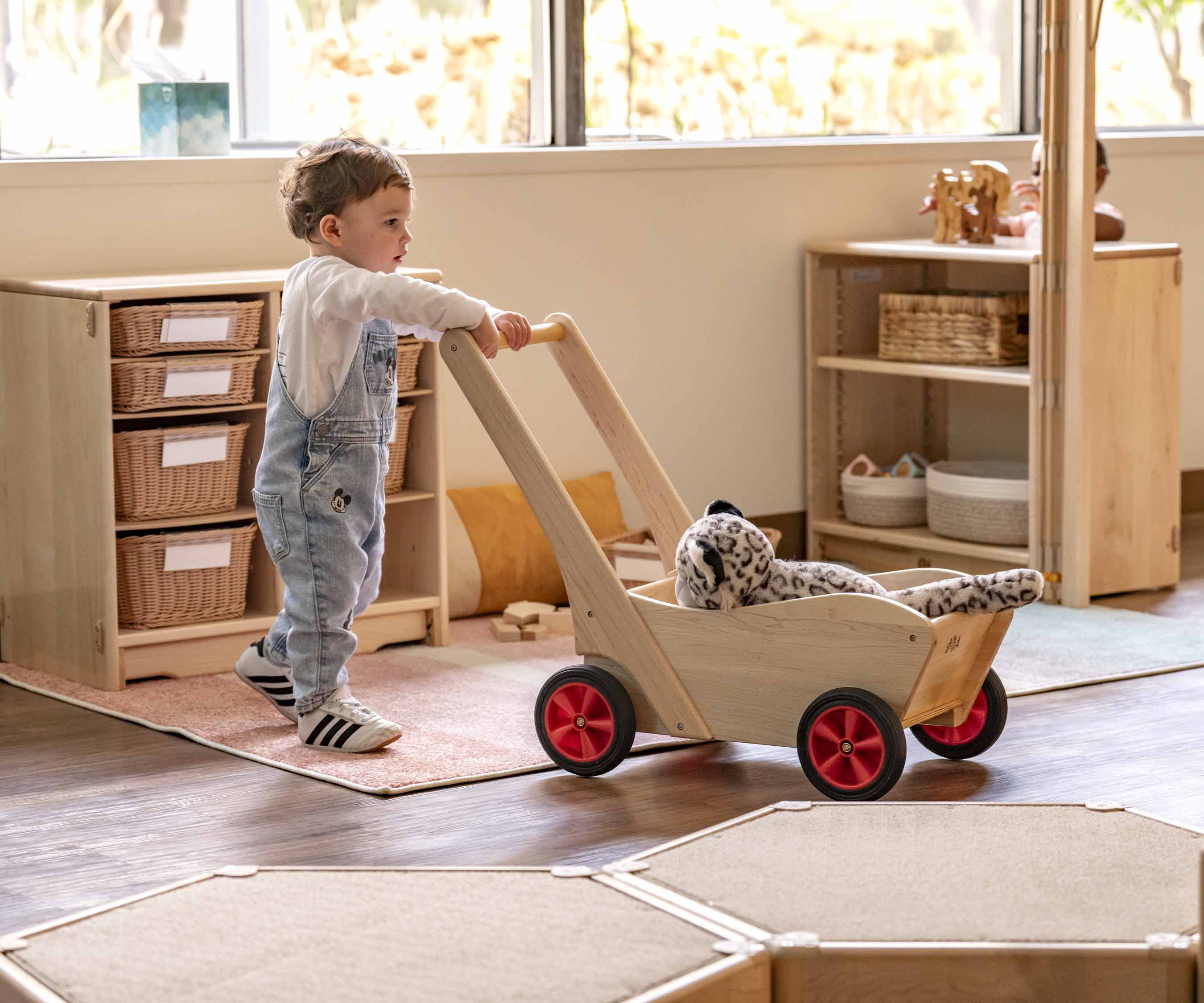 D120 PushCart